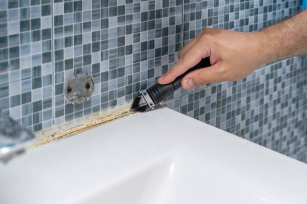 Home Mold Removal in Leadville North, CO