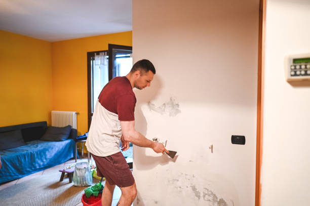 Best Mold Cleaning Services  in Leadville North, CO